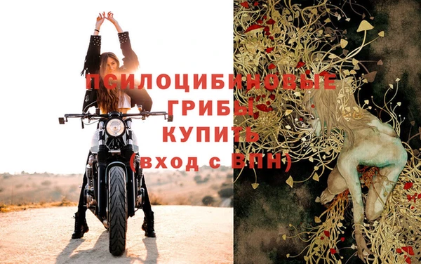 дмт Нефтекумск